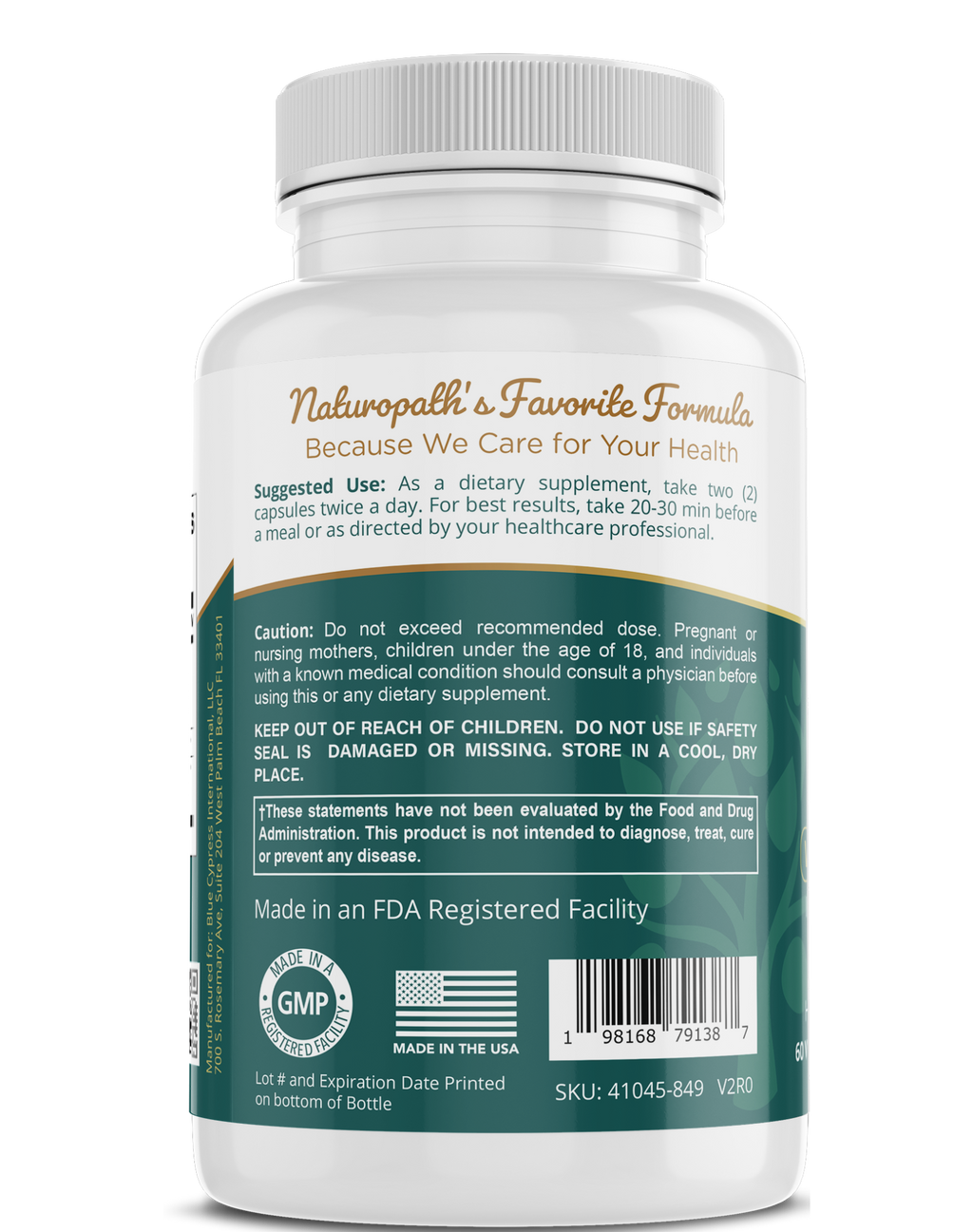 Ginkgo Biloba - Ancient Wisdom