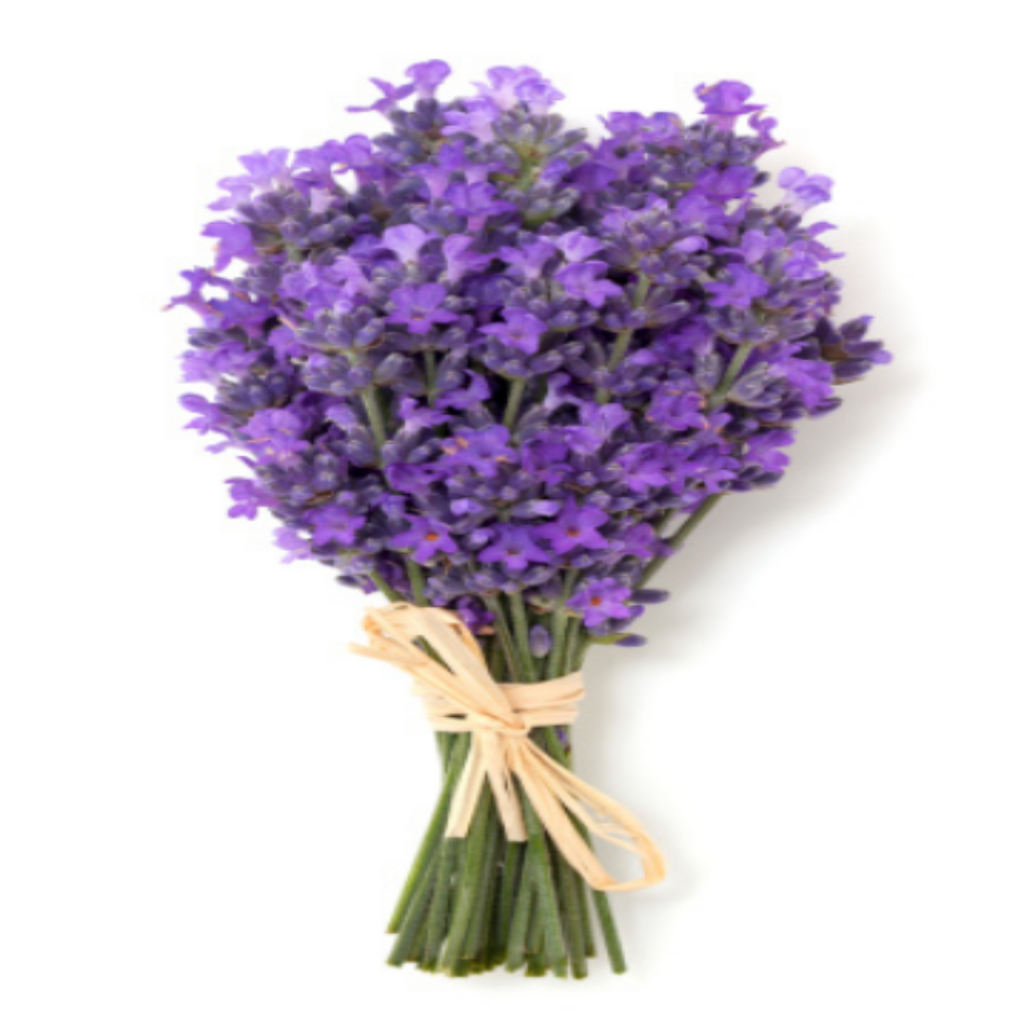 Exfoliating Organic Anti-Aging Body Scrub - Lavender Fragrance